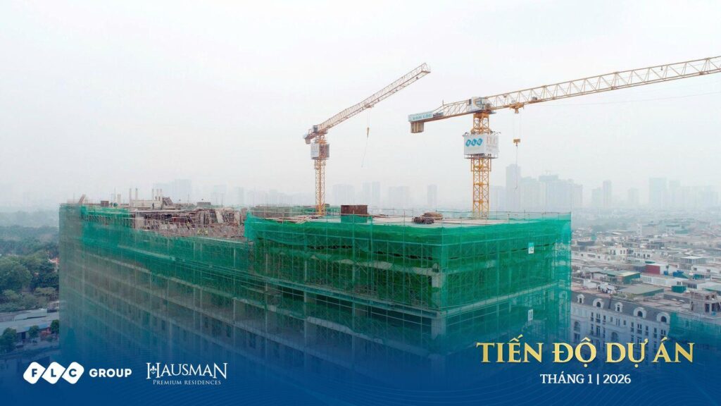 Tien do T1 Hausman 1