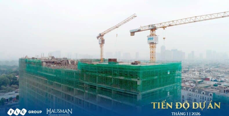 Tiến độ Hausman T1